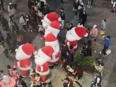 -润园四季椰子鸡火锅(南山海岸城店)