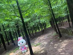 -日照海滨国家森林公园