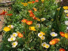 -名花谷生态庄园