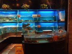 水产区-眉州东坡(北苑华贸店)