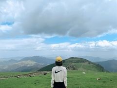 -灵山