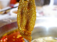 -大龙燚火锅(天钥桥路店)