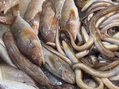 -和源祥·日照菜扛把子(万平口一店)