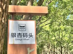 -同里国家湿地公园