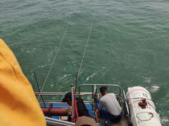 -日照世帆赛基地