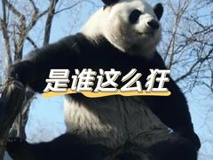 -木子木水日式烫面包(杭州首店)