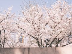 -龙美术馆(西岸馆)