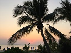 -四川人郑霞海鲜