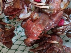 -宾朋海鲜特色美食餐厅·纯手工鲅鱼水饺(兴海路店)