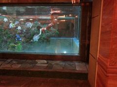 -肇庆奥威斯酒店