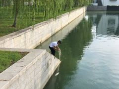 -漕湖湿地公园