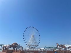 -秦皇岛乐岛海洋王国