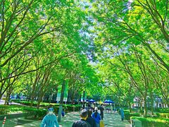 -煮叶(悠唐广场店)