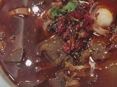 -蜀腾川·火锅鱼.烤鱼(新世界城店)