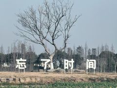 -南北湖风景区