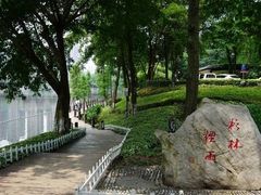 -重庆彩云湖湿地公园