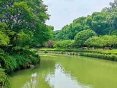 -红梅公园
