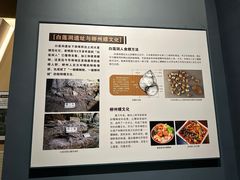 -柳州白莲洞洞穴科学博物馆