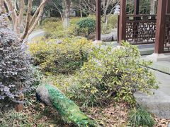 -武汉园博园(武汉自然博物馆)