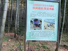 -黄公望隐居地