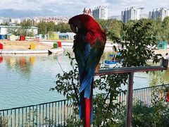 -水上乐园·欢乐世界