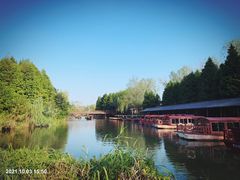 -溱湖国家湿地公园