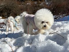 -太子岭滑雪场