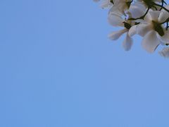 -堤角公园