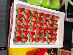 -西郊国际农产品交易中心