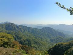 -大岭沟猕猴桃谷风景区