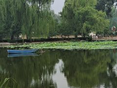 -国家植物园南园