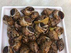 -人和啤酒屋海鲜大排档(营口路店)