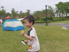 -春花秋色城市公园