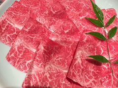 -然锅料理