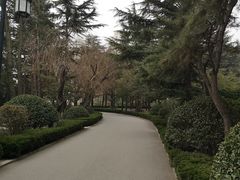 -莱西月湖公园