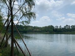 -南国桃园旅游度假区