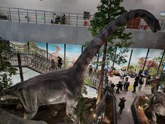 -湖南省地质博物馆