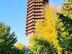 -玲珑塔公园