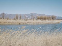 -野鸭湖国家湿地公园