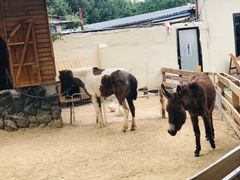 -HERRE·FARM 赫尔露营农场·团建聚会包场