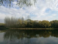 -昆山城市生态森林公园