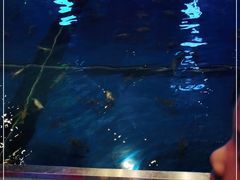 -钳真多钓虾馆·小龙虾海鲜烧烤(九六广场店)