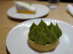 -猫里有甜