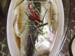 -巢湖名吃·徽府农家菜(半汤店)