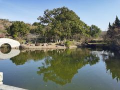 -白马涧龙池景区