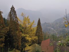 -钟鼎寺