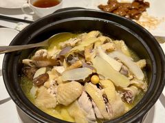 清炖鸡-花城苑广府菜(侨鑫店)