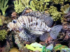 -上海海洋水族馆