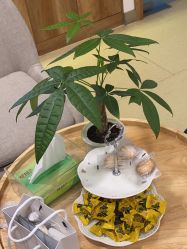 -塑青春&伊肤泉祛痘皮肤管理
