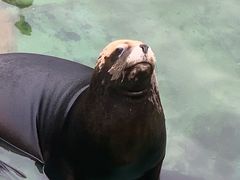 -大连老虎滩海洋公园